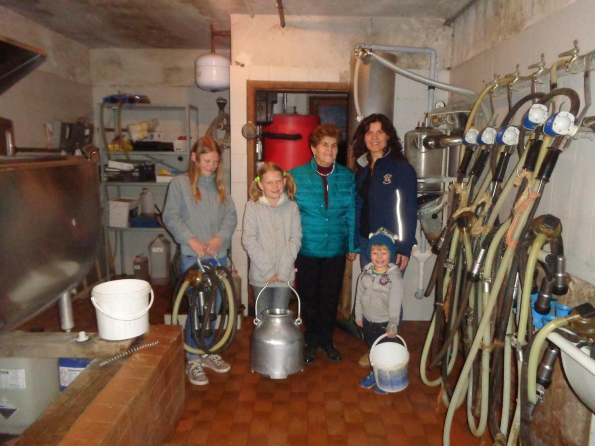 فيلا Pitterle Hof ميلتينا المظهر الخارجي الصورة